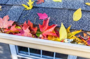 Homeowners Insurance Coverage