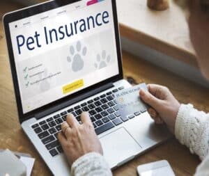 Is Pet Insurance Worth Buying? 2021 Pros and Cons of Pet Insurance