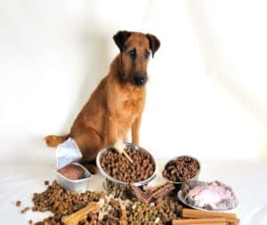 Cost of Owning a Dog