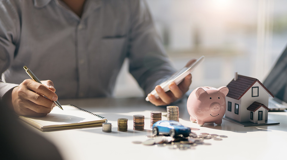 Income Versatility and Stability