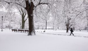 Winter Storm Tips - Boston MA