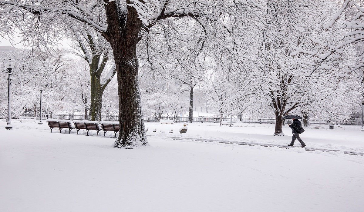 Winter Storm Tips - Boston MA