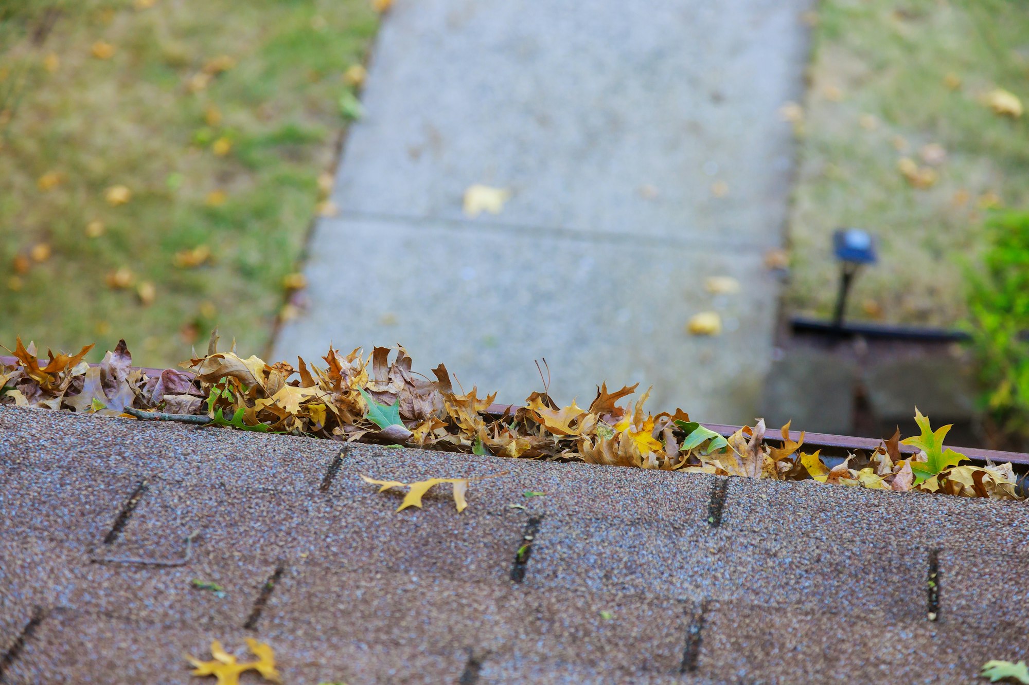 Yellow leaves are covered with iron gutter cover on a roof with leaves | LoPriore Insurance Agency Yellow leaves are covered with iron gutter cover on a roof with leaves