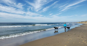 Massachusetts Beaches