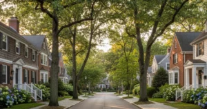 A wide, editorial-style photo of a picturesque, tree-lined residential street in Wellesley, Massachusetts, featuring traditional New England homes, sidewalks, and warm natural light.